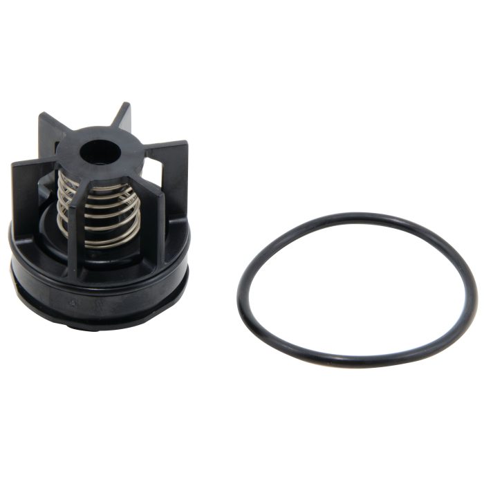 WATTS 0888551 - CK2 - #2 CHECK ASSEMBLY FOR 3/4" WATTS 007M3 DC *OR* AMES 2000BM3 DC ASSEMBLIES