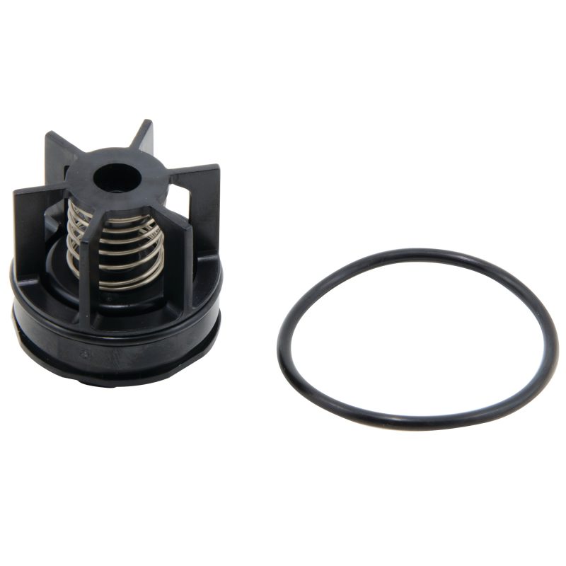 WATTS 0888551 - CK2 - #2 CHECK ASSEMBLY FOR 3/4" WATTS 007M3 DC *OR* AMES 2000BM3 DC ASSEMBLIES