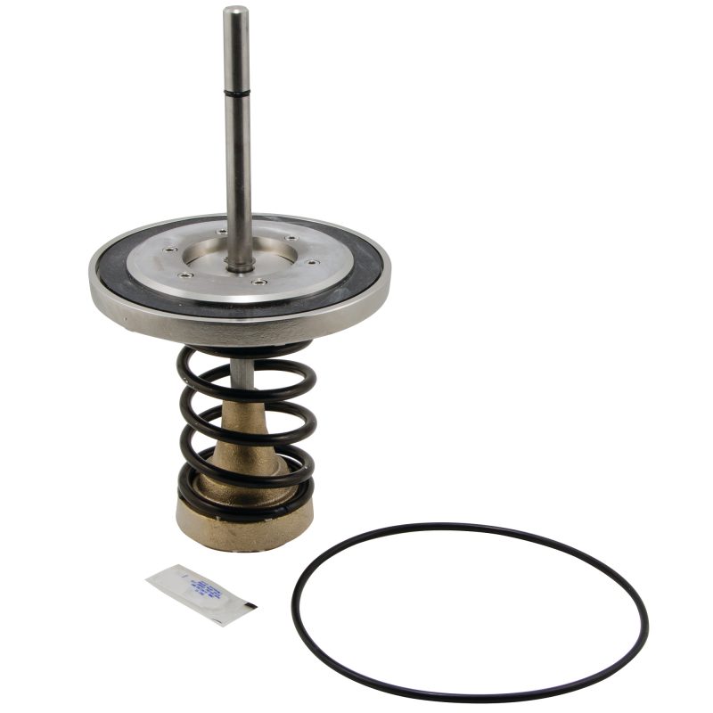 WATTS 0794100 - CK1 - #1 CHECK MODULE  FOR 10" 909 / LF909 / 909M1 RP ASSEMBLIES