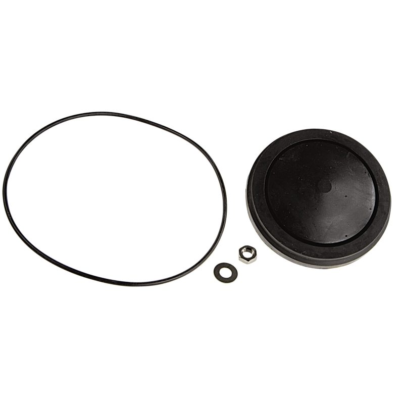 FEBCO 905225 - #1 OR #2 CHECKS DISC ASSEMBLY ONLY FOR 4" 880V
