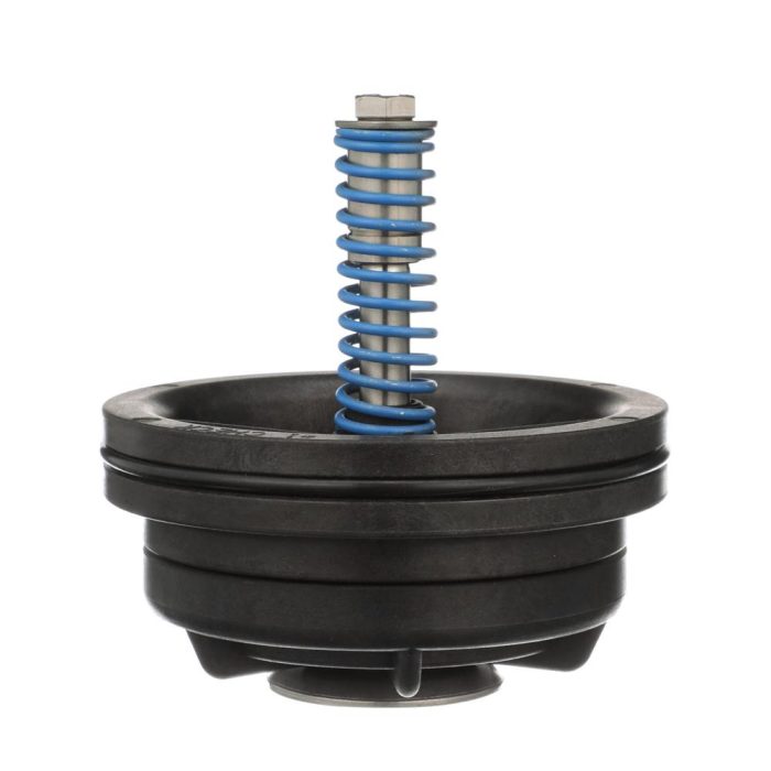 WILKINS RK212-350CK1 - #1 CHECK ASSEMBLY