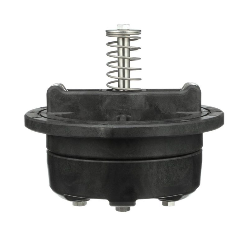 WILKINS RK8-350CK2 - #2 CHECK ASSEMBLY