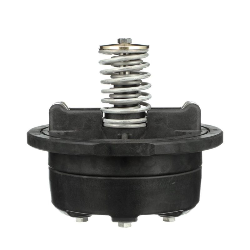 WILKINS RK8-375CK1 - #1 CHECK ASSEMBLY
