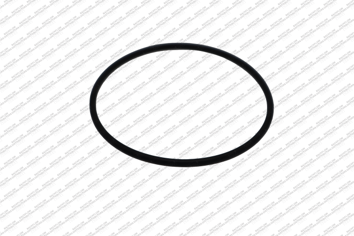 AMES COLT MAXIM 7017861 "O" RING FOR #1 OR #2 CHECK MODULES 2 1/2" - 4" COLT C-200-A DC 2 1/2" - 3" MAXIM M-200-A DC  2 1/2" - 4" COLT C-300-A DC DA 2 1/2" - 3" MAXIM M-300-A DC DA 2 1/2" - 4" COLT C-400 RP  2 1/2" - 3" MAXIM M-400 RP 2 1/2" -  .