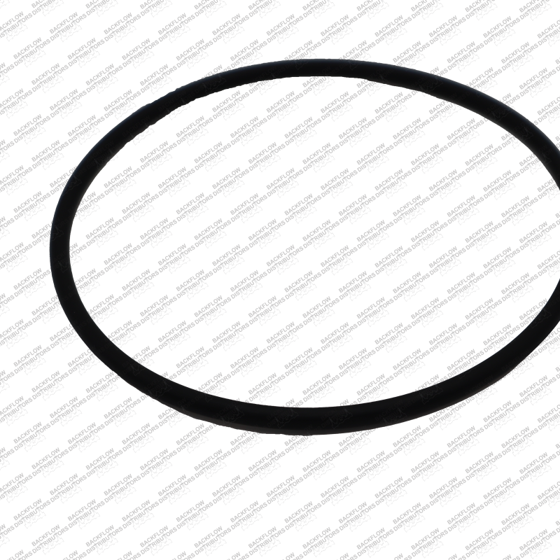 AMES 7013229 (6-5064) - #2 CAM CHECK O RING-2 1/2"- 4"-2000SS / 6" - 2000SE - 2 1/2"- 4" - 4000SS