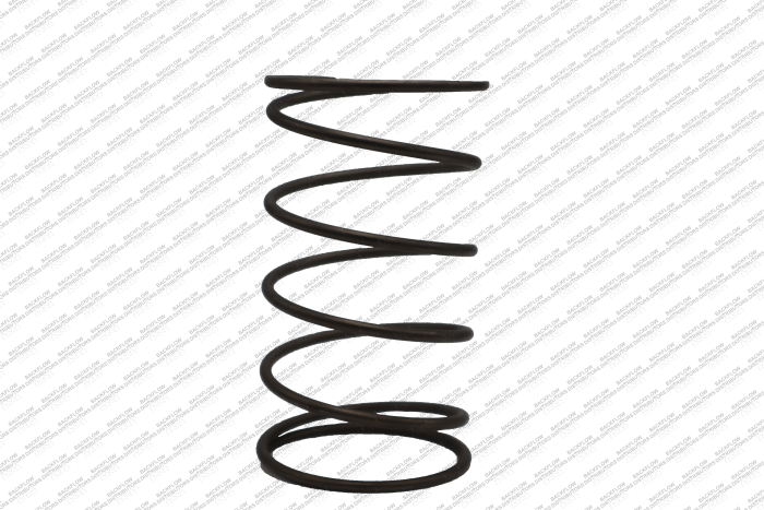 WILKINS RK 8-975 - COMPLETE INTERNAL RELIEF VALVE REPAIR KIT (RUBBER PARTS AND SPRING) FOR 8" -10" 975 RP ASSEMBLIES