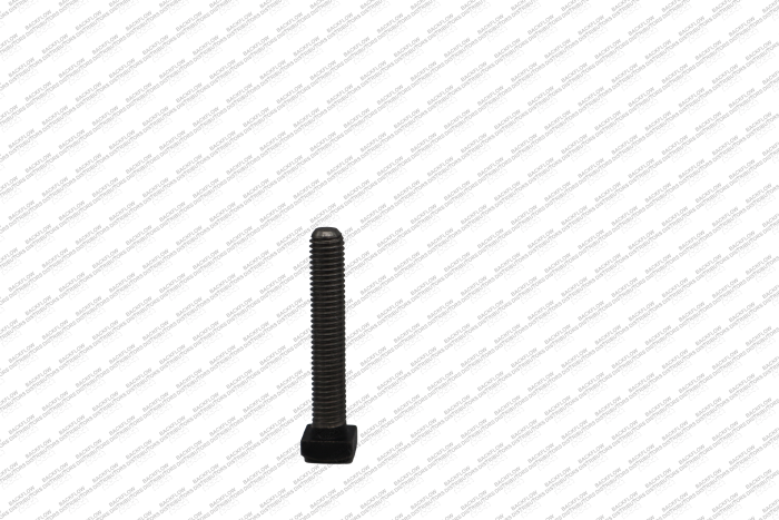 2 1/2" - 6" GATE VALVE PACKING BOLT - SQUARE HD FULL THREAD 18-8 SS