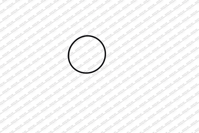 WATTS 1101112 - #2 CHECK MODULE O-RING FOR 2" 009M2QT RP ASSEMBLIES
