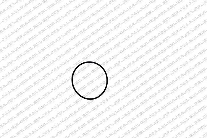 WATTS 1101193 - #1 CHECK MODULE O-RING FOR 2" 009M2QT RP ASSEMBLIES