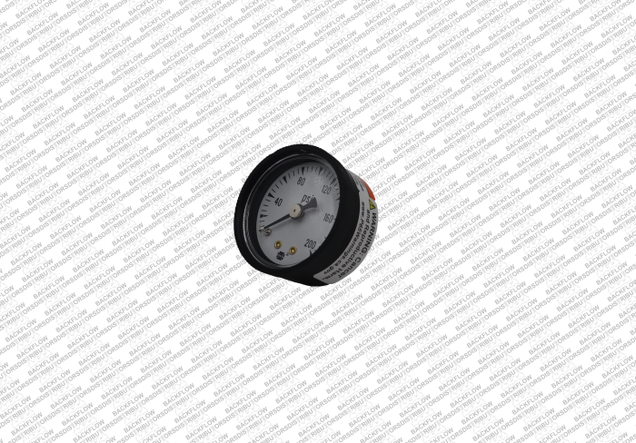 M 107743 - MIDWEST LINE PRESSURE GAUGE, 200 PSI