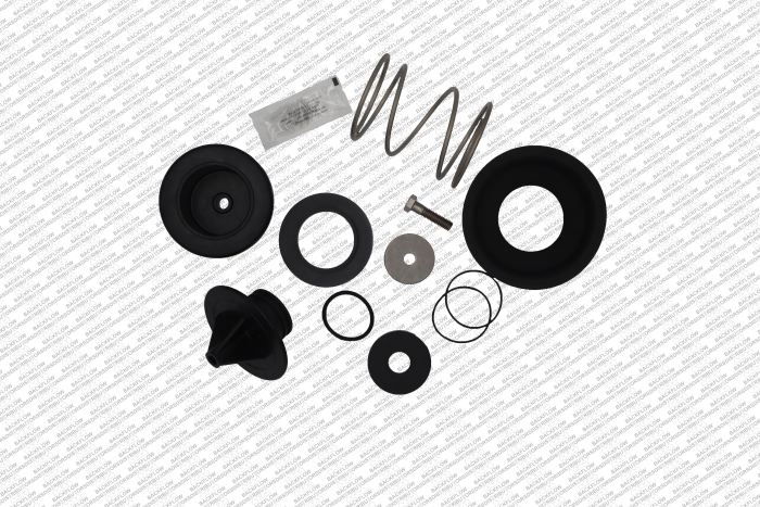 WL RK212375RVCI - 2 1/2" - 6" 375/475 RELIEF VALVE COMPLETE INTERNALS REPAIR KIT