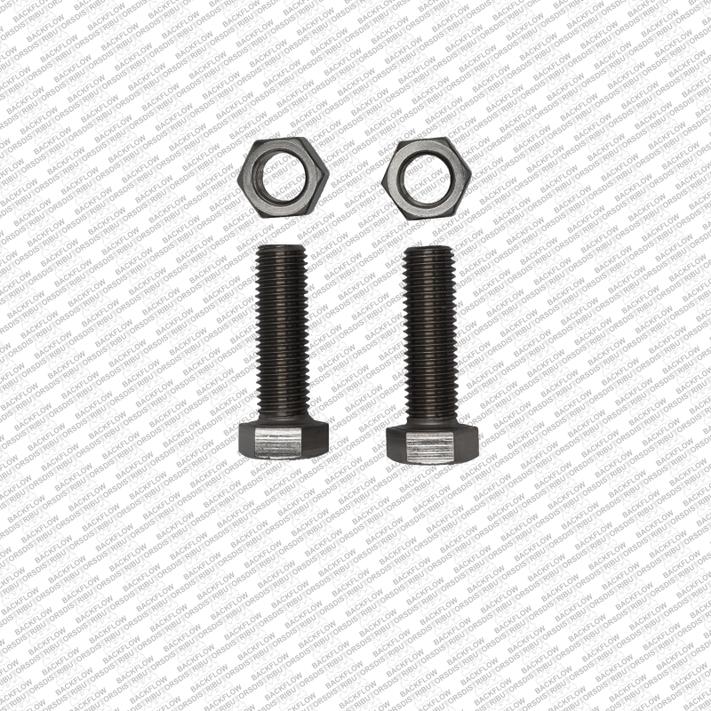 BS 3SS-METER - STAINLESS STEEL BOLT & NUT SET FOR 2" METER FLANGE - SET OF 2 EACH..***STAINLESS STEEL***