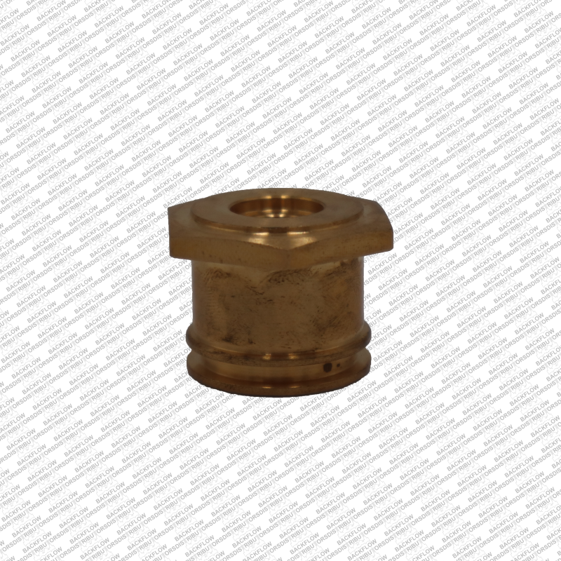 WATTS 1047000 - RELIEF VALVE STEM BUSHING ONLY FOR 2" 009M2-QT / LF009M2-QT RP ASSEMBLIES