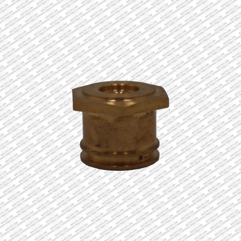 WATTS 1047000 - RELIEF VALVE STEM BUSHING ONLY FOR 2" 009M2-QT / LF009M2-QT RP ASSEMBLIES