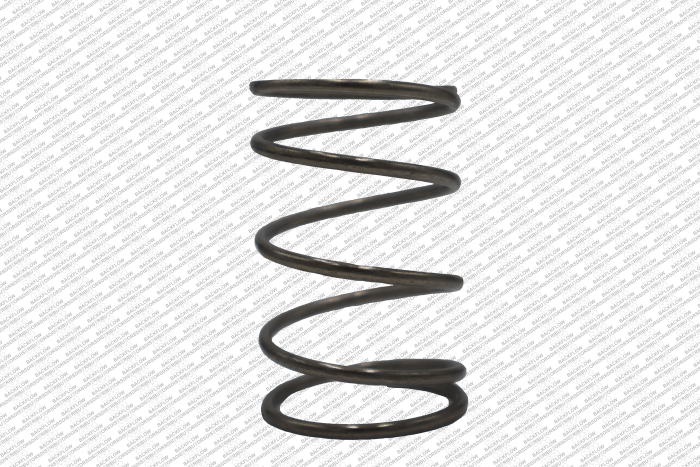 WATTS 1052082 - RELIEF VALVE SPRING ONLY FOR 2" LF009M2 RP ASSEMBLIES