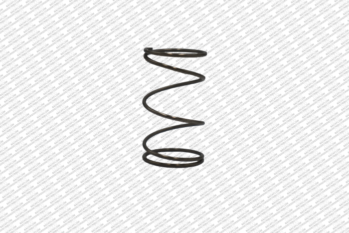 WATTS 1052096 - RELIEF VALVE SPRING ONLY FOR 3/4" 009M2 / 009M3 RP ASSEMBLIES