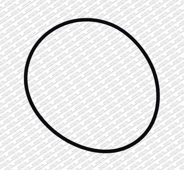 WATTS 1101262 - #1 CHECK MODULE O-RING FOR 1 1/2" - 2" 007-QT DC ASSEMBLIES