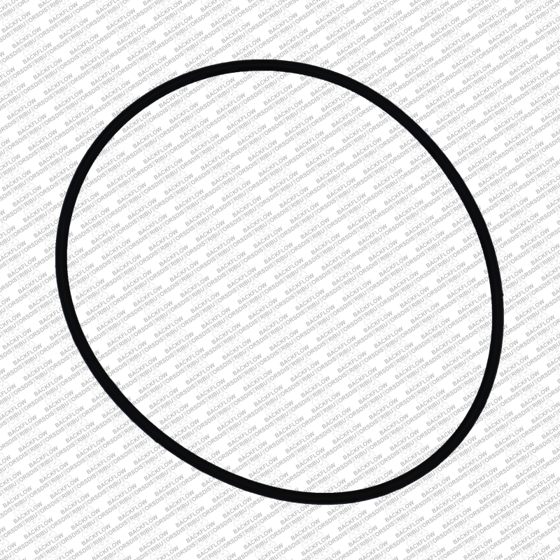 WATTS 1101262 - #1 CHECK MODULE O-RING FOR 1 1/2" - 2" 007-QT DC ASSEMBLIES