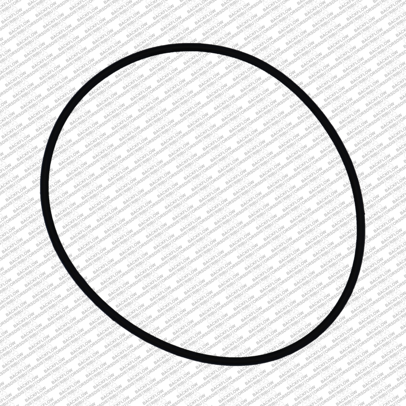 WATTS 1101262 - #1 CHECK MODULE O-RING FOR 1 1/2" - 2" 007-QT DC ASSEMBLIES