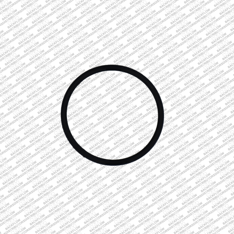 WATTS 1101801 - #1 CHECK MODULE O-RING FOR 3/4" - 1" 009M2QT RP ASSEMBLIES