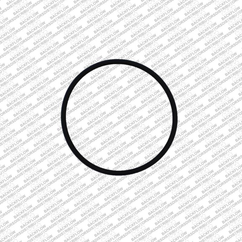 WILKINS 029N RELIEF VALVE SEAT O-RING FOR 1 1/4" - 2" 975XL2