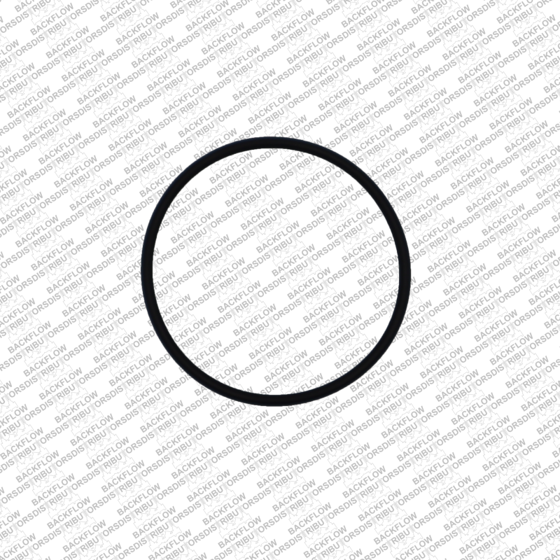 WILKINS 029N RELIEF VALVE SEAT O-RING FOR 1 1/4" - 2" 975XL2