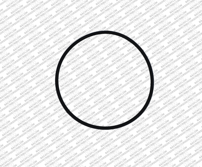 WILKINS 033N - LARGE O-RING FOR RELIEF VALVE BODY MOUNTING - 2 1/2" - 6" 975 RP ASSEMBLIES
