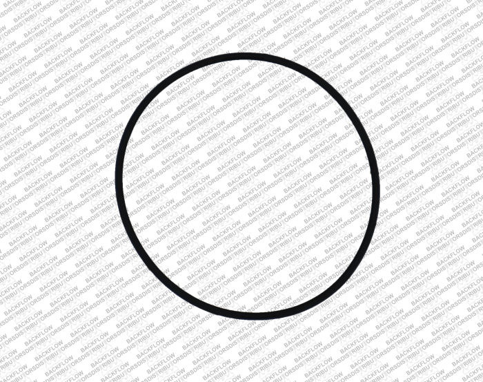 WILKINS 036N - LARGE O-RING FOR RELIEF VALVE BODY MOUNTING - 8" - 10" 975 RP ASSEMBLIES