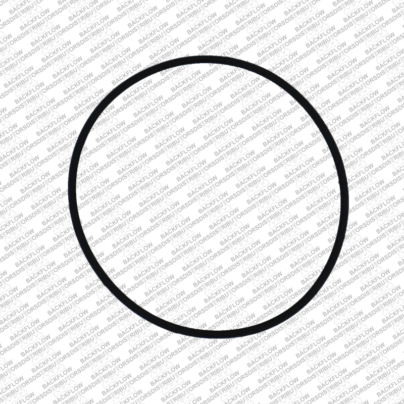 WILKINS 036N - LARGE O-RING FOR RELIEF VALVE BODY MOUNTING - 8" - 10" 975 RP ASSEMBLIES