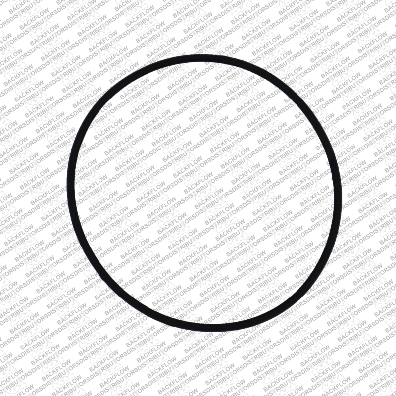WILKINS 036N - LARGE O-RING FOR RELIEF VALVE BODY MOUNTING - 8" - 10" 975 RP ASSEMBLIES