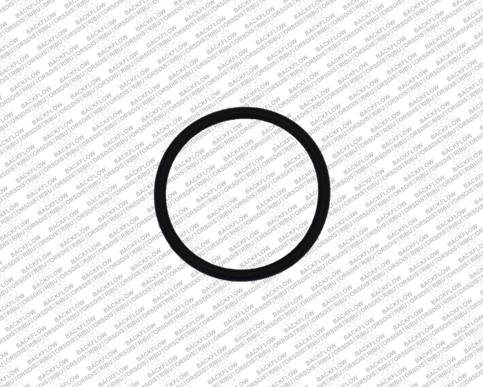WILKINS 125N - #1 OR #2 CHECK SEAT O-RING FOR 3/4" - 1" 950XL / 975XL / 975XL2 ASSEMBLIES
