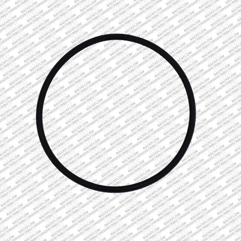 WILKINS 142N - O-RING ONLY FOR MOUNTING 3711-CU RELIEF VALVE FOR 8" - 10" 375 / 475 ASSEMBLIES *AND* 8" - 10" RV SEAT O-RING