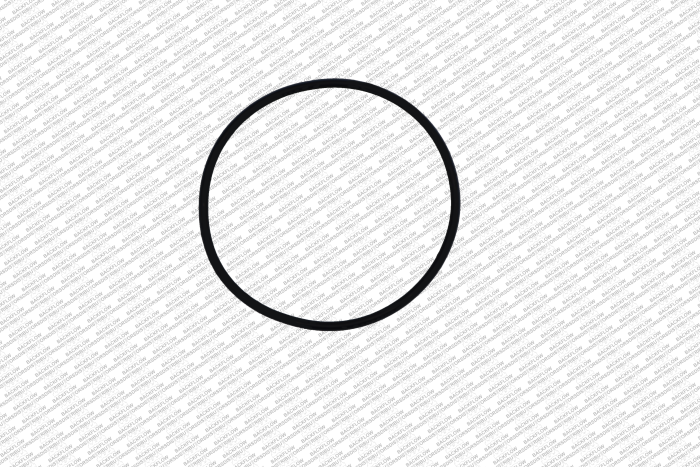 WILKINS 146N - RELIEF VALVE SEAT O-RING FOR 8" - 10" 375 / 375AST / 475