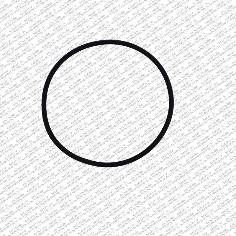 WILKINS 146N - RELIEF VALVE SEAT O-RING FOR 8" - 10" 375 / 375AST / 475