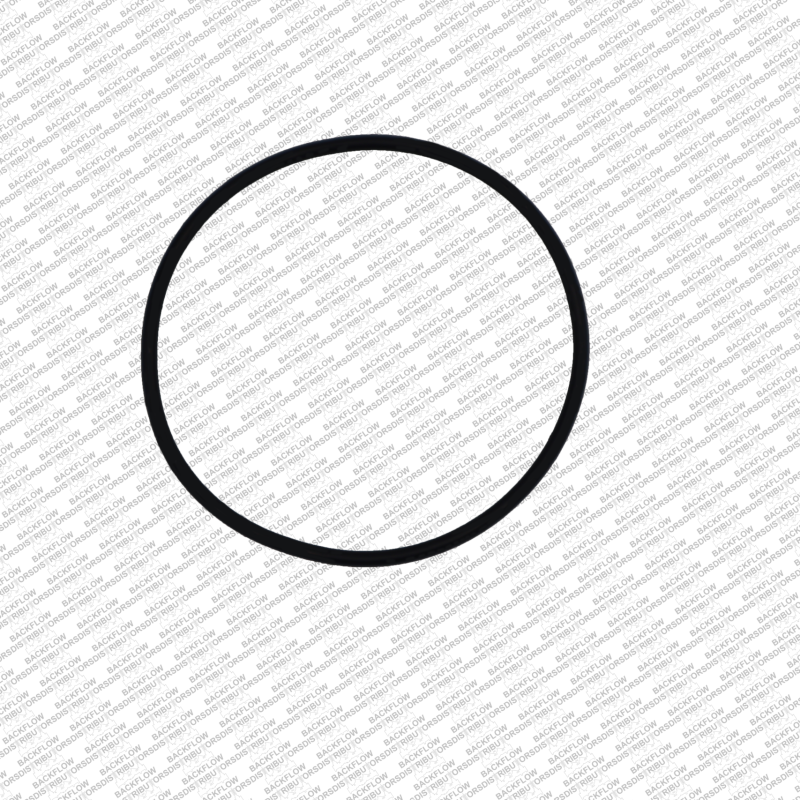 WILKINS 146N - RELIEF VALVE SEAT O-RING FOR 8" - 10" 375 / 375AST / 475
