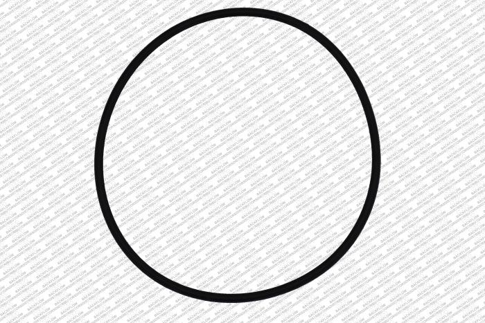 WILKINS 245N - O-RING ONLY FOR #1 OR #2 CHECK MODULE BODY - 2 1/2" - 3" 350 / 450 DC / 2 1/2" - 3" 375 / 475 RP ASSEMBLIES