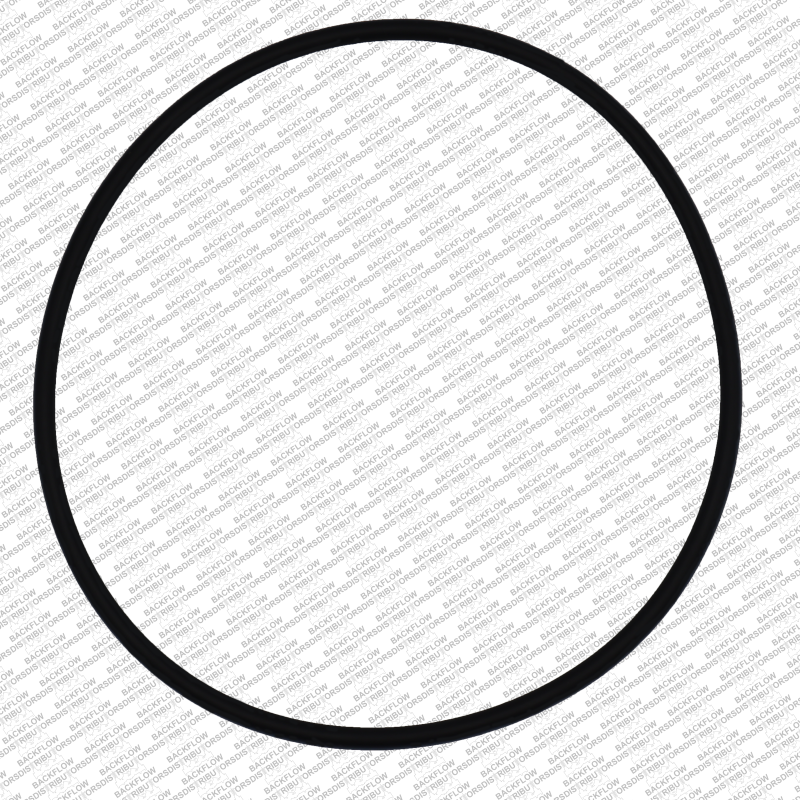 WILKINS 245N - O-RING ONLY FOR #1 OR #2 CHECK MODULE BODY - 2 1/2" - 3" 350 / 450 DC / 2 1/2" - 3" 375 / 475 RP ASSEMBLIES