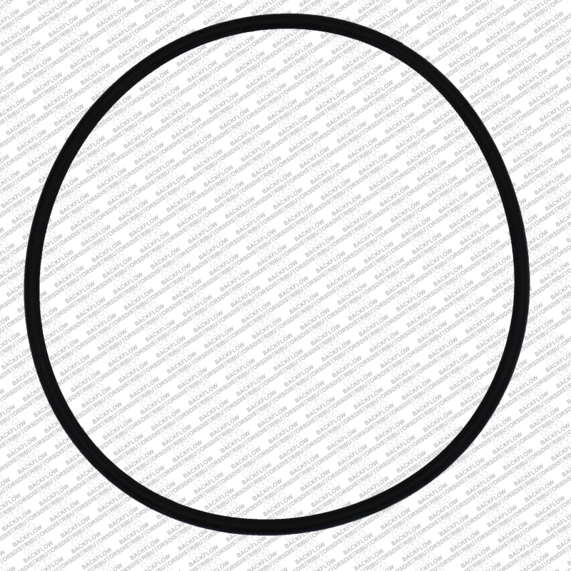 WILKINS 245N - O-RING ONLY FOR #1 OR #2 CHECK MODULE BODY - 2 1/2" - 3" 350 / 450 DC / 2 1/2" - 3" 375 / 475 RP ASSEMBLIES