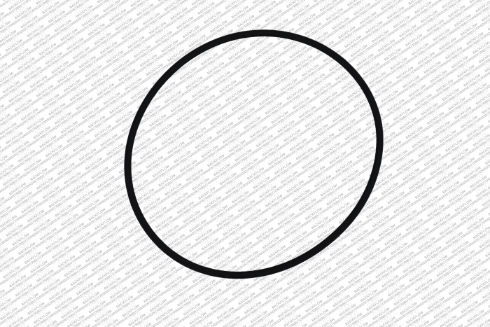 WILKINS 248N - CAP O-RING ONLY FOR 2 1/2" - 3" 950 / 975 ASSEMBLIES
