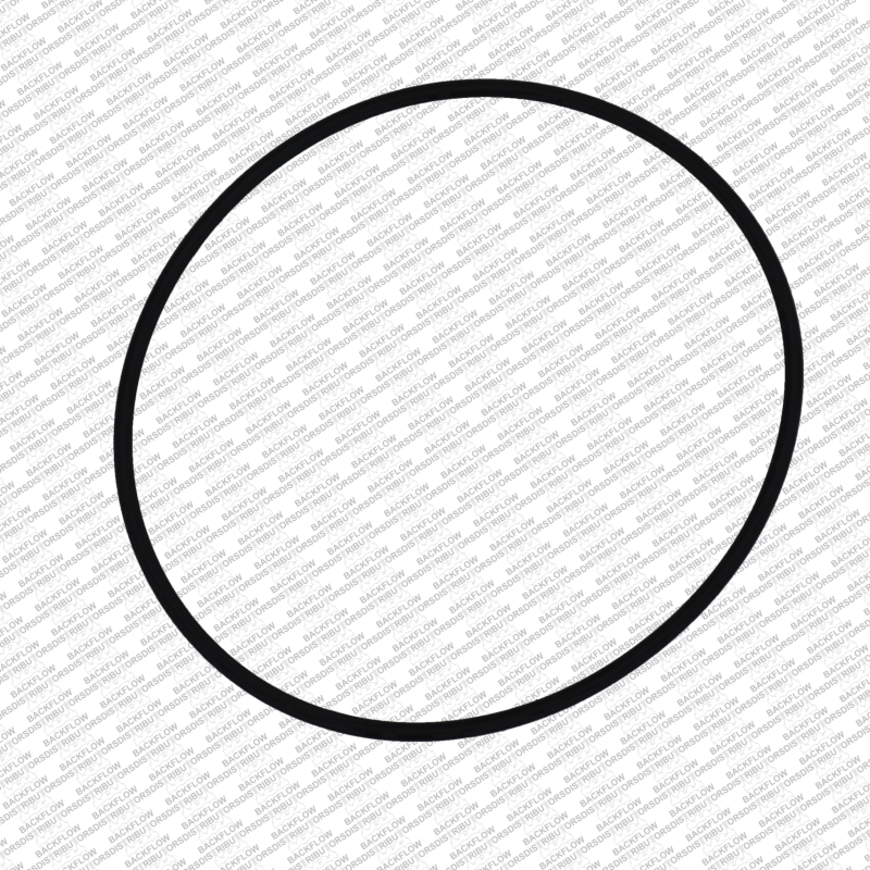 WILKINS 248N - CAP O-RING ONLY FOR 2 1/2" - 3" 950 / 975 ASSEMBLIES