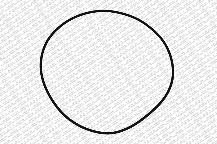 WILKINS 264N - CAP O-RING ONLY FOR 4" 950 / 975 ASSEMBLIES