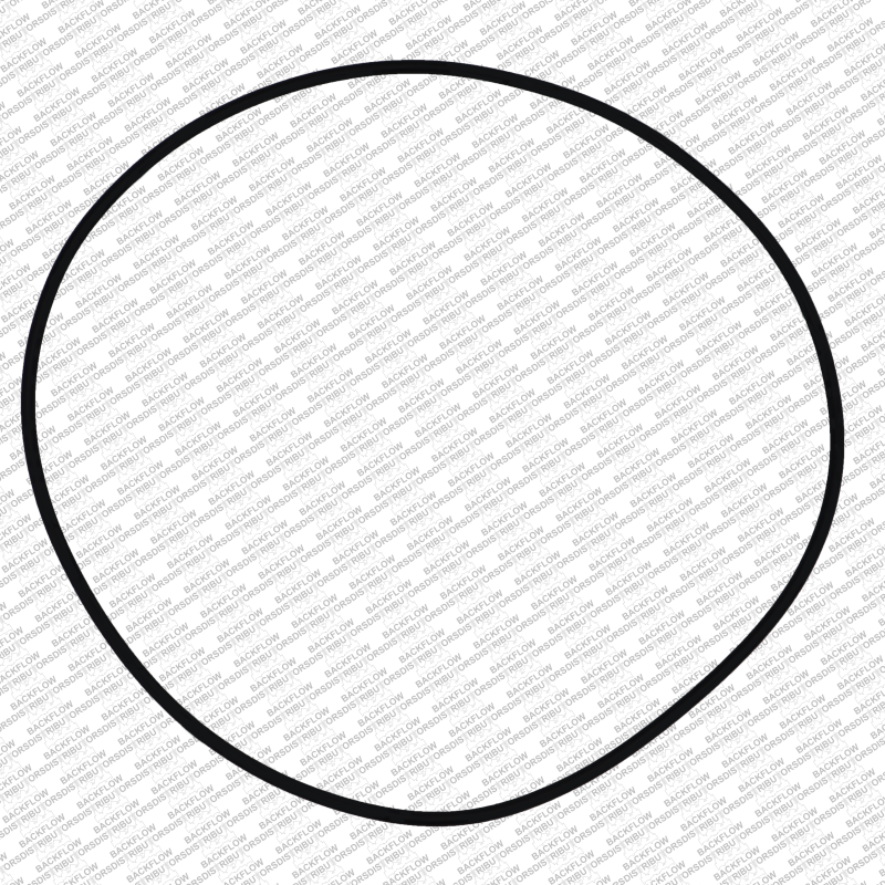WILKINS 264N - CAP O-RING ONLY FOR 4" 950 / 975 ASSEMBLIES
