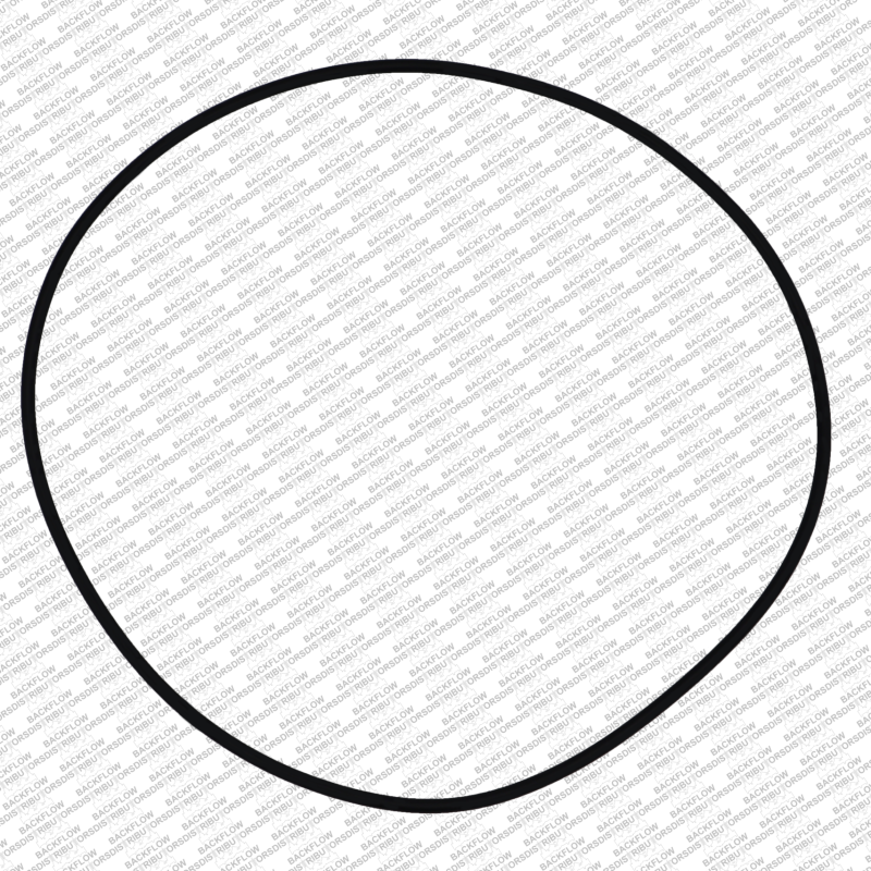 WILKINS 264N - CAP O-RING ONLY FOR 4" 950 / 975 ASSEMBLIES