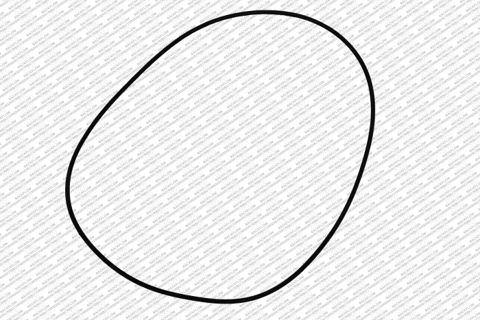 WILKINS 273N - O-RING ONLY FOR #1 OR #2 CHECK MODULE BODY - 8" - 10" 350 / 450 DC / 8" - 10" 375 / 475 RP ASSEMBLIES