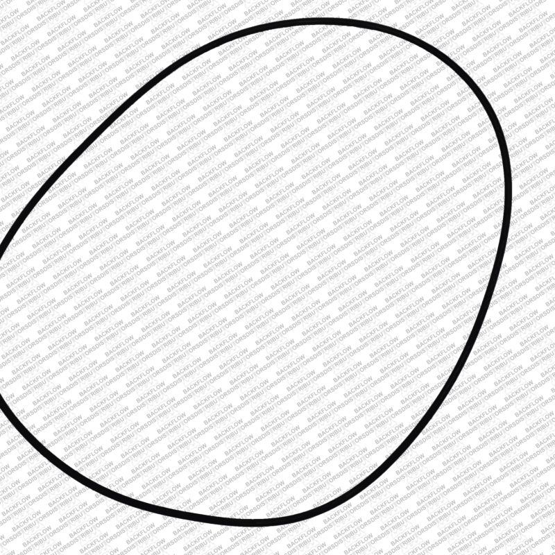 WILKINS 273N - O-RING ONLY FOR #1 OR #2 CHECK MODULE BODY - 8" - 10" 350 / 450 DC / 8" - 10" 375 / 475 RP ASSEMBLIES