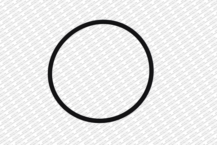 WILKINS 351-N "O" RING ONLY #1 OR #2 CHECK MODULE BODY FOR 2 1/2"-4" 350ST-375ST - CHECK VALVES  4" 375- 475 RP ASSEMBLIES