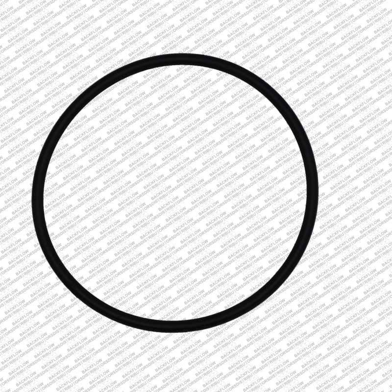 WILKINS 351-N "O" RING ONLY #1 OR #2 CHECK MODULE BODY FOR 2 1/2"-4" 350ST-375ST - CHECK VALVES  4" 375- 475 RP ASSEMBLIES