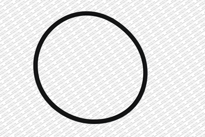 WILKINS 353N - O-RING ONLY FOR #1 OR #2 CHECK MODULE BODY - 4" 350 / 450 / 375 / 475 RP ASSEMBLIES