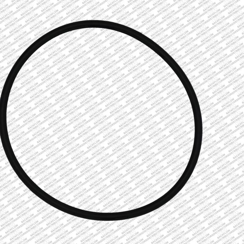 WILKINS 353N - O-RING ONLY FOR #1 OR #2 CHECK MODULE BODY - 4" 350 / 450 / 375 / 475 RP ASSEMBLIES
