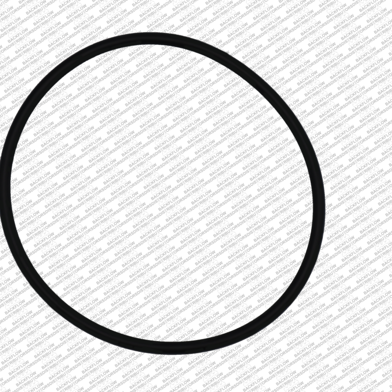 WILKINS 353N - O-RING ONLY FOR #1 OR #2 CHECK MODULE BODY - 4" 350 / 450 / 375 / 475 RP ASSEMBLIES